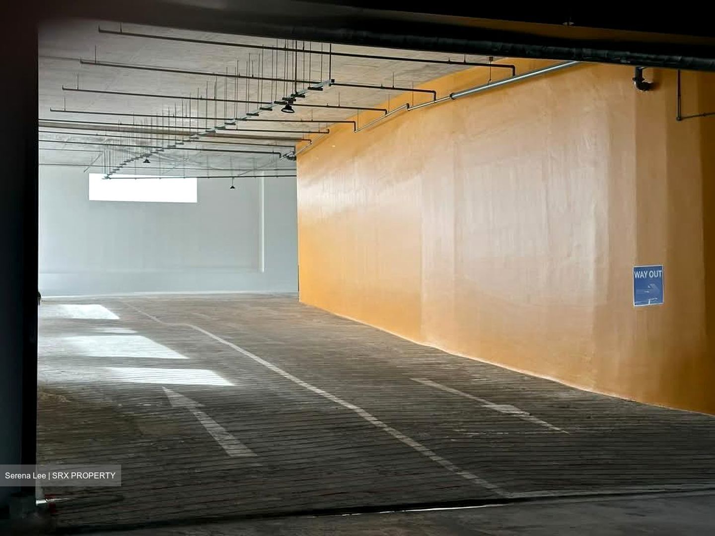 FOOD ASCENT (D22), Factory #546083211